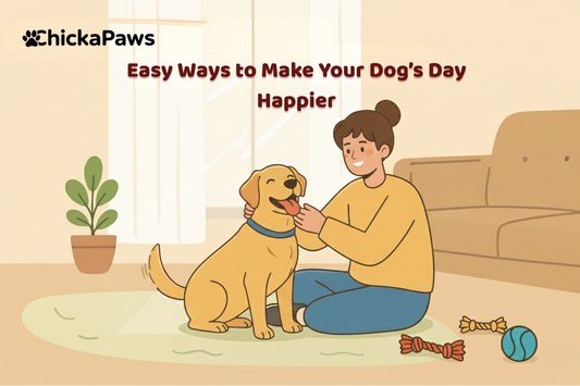 Easy Ways to Make Your Dog’s Day Happier
