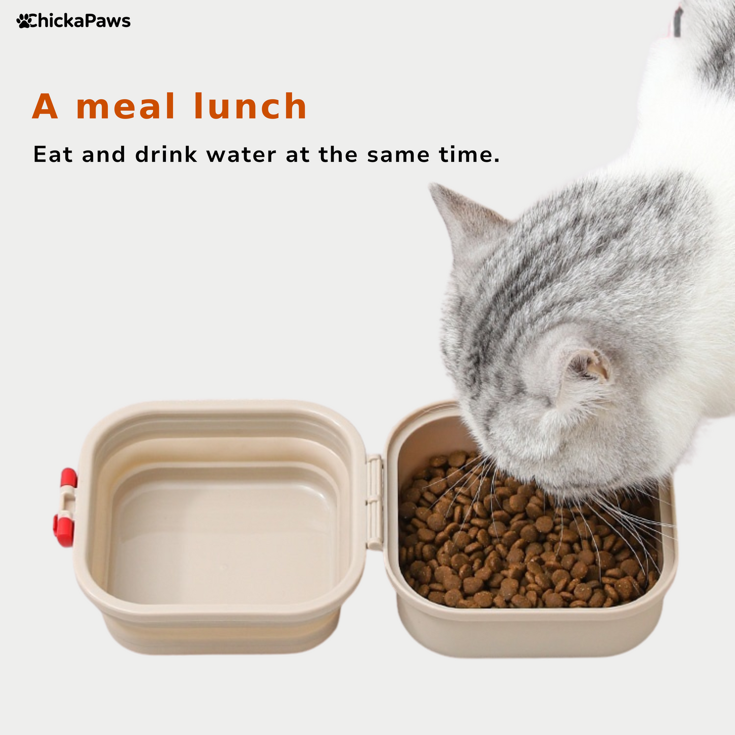 Paws Sip & Snack Box