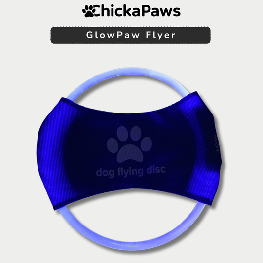 GlowPaw Flyer