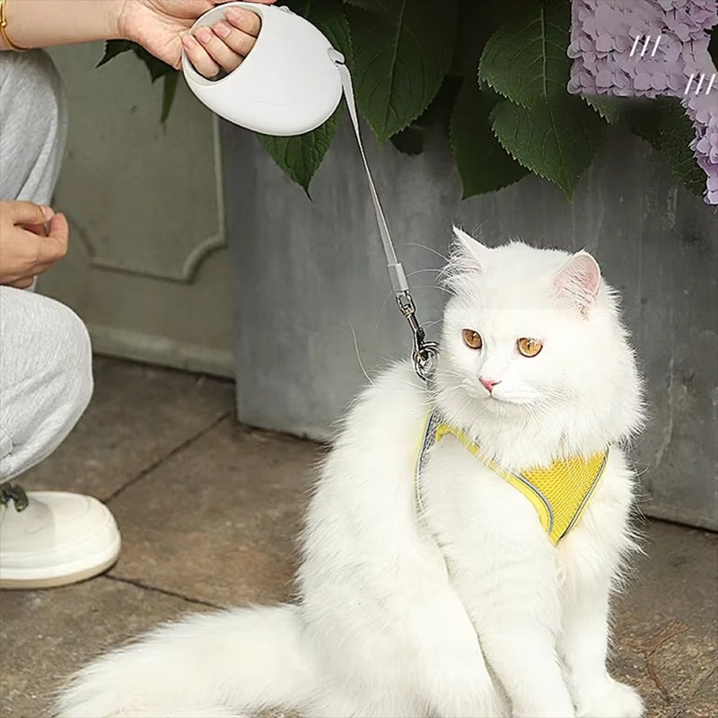 PawFlow Nylon Roulette