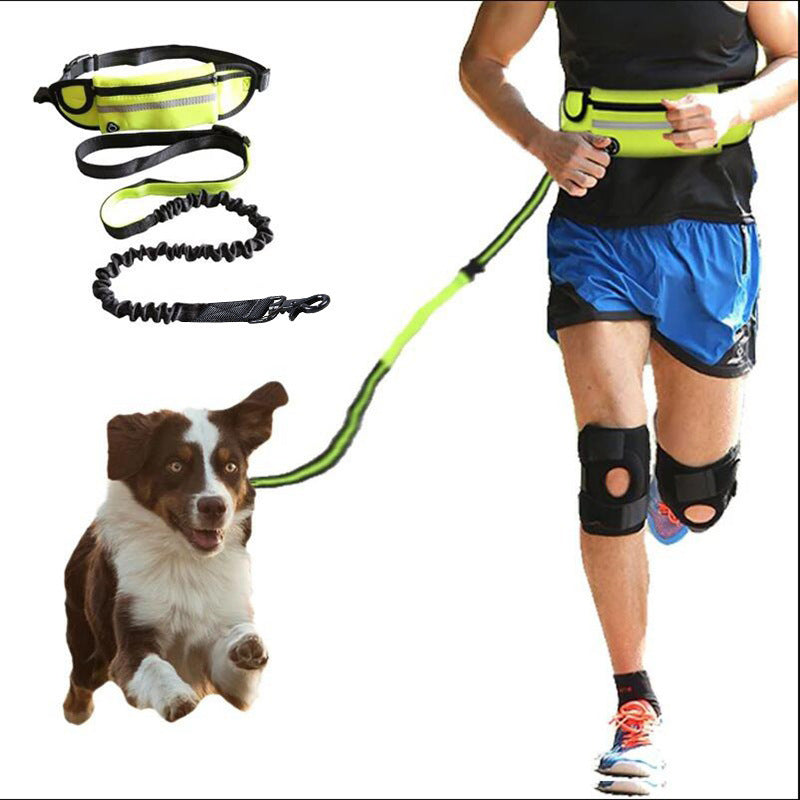 FreeStride Running Leash