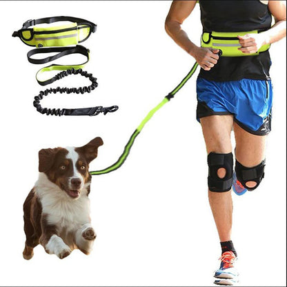 FreeStride Running Leash