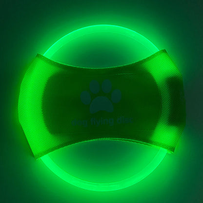 GlowPaw Flyer