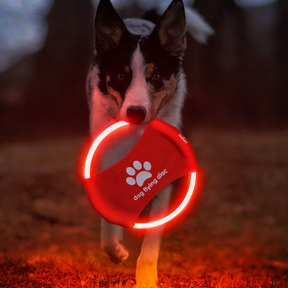 GlowPaw Flyer