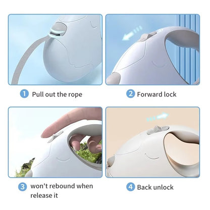 PawFlow Nylon Roulette